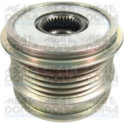 Alternator Freewheel Clutch